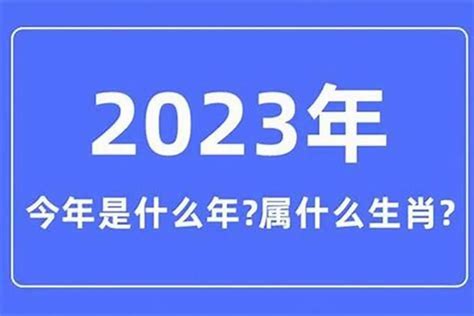 2005年属什么